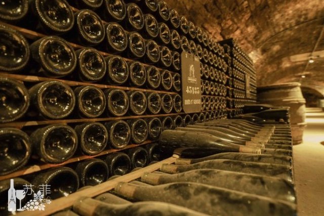 勃艮第和波尔多哪个好喝,勃艮第和波尔多酒杯