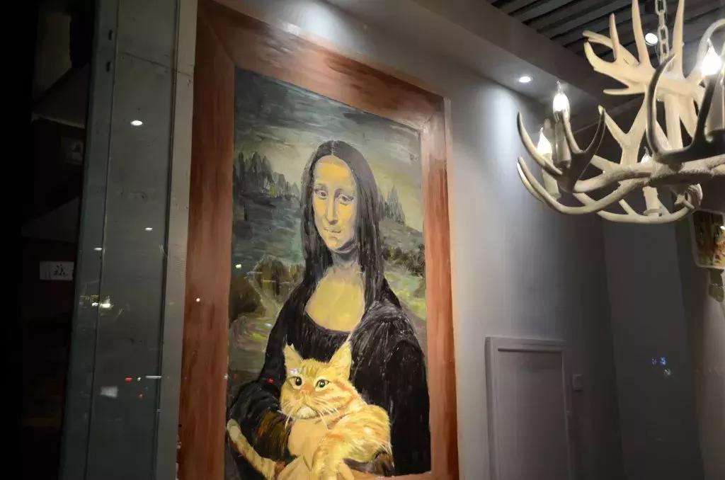 杭州可以撸猫的店,杭州撸猫地方推荐