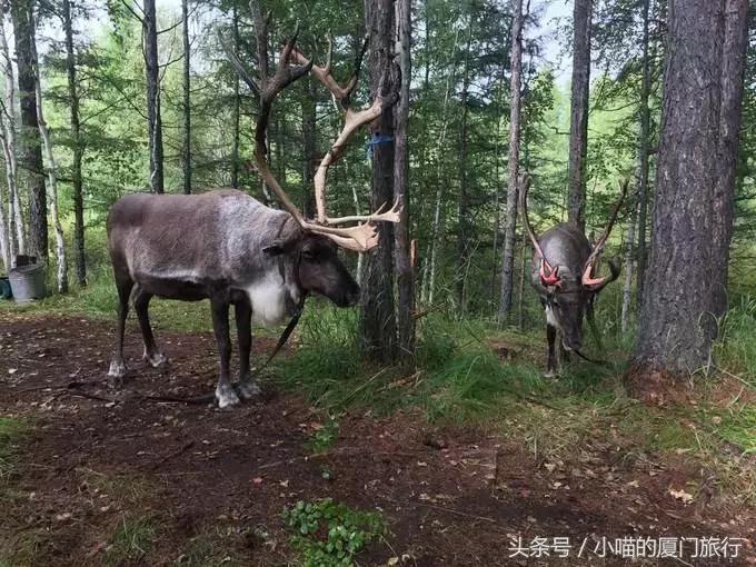 中国最美少数民族村寨,少数民族特色村寨民俗旅游