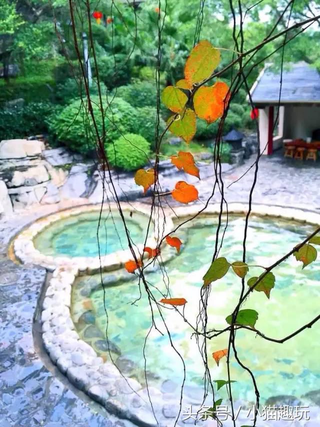 广东清远市英德奇洞温泉度假村,英德望埠奇洞温泉度假门票2021