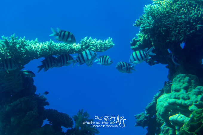 以色列三千年历史,以色列穿越时空项目