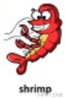 30个动物英语单词视频,动物的英语单词常见100个