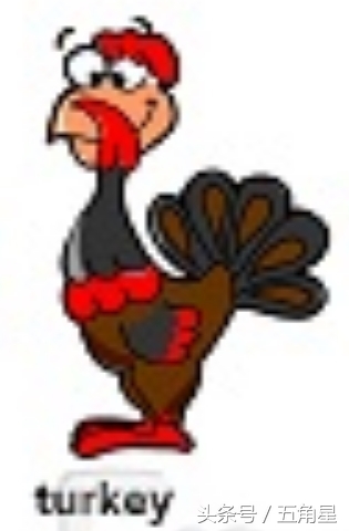 30个动物英语单词视频,动物的英语单词常见100个