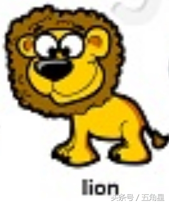 30个动物英语单词视频,动物的英语单词常见100个