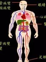 香港预适应告诉你身体不好的真相在这里