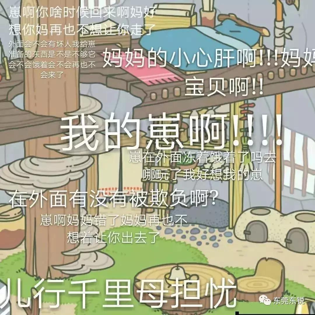 蛙宝的缺点,蛙宝的真实样子