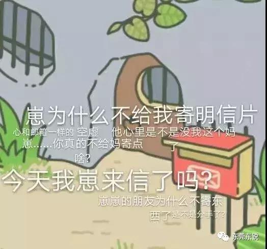 蛙宝的缺点,蛙宝的真实样子