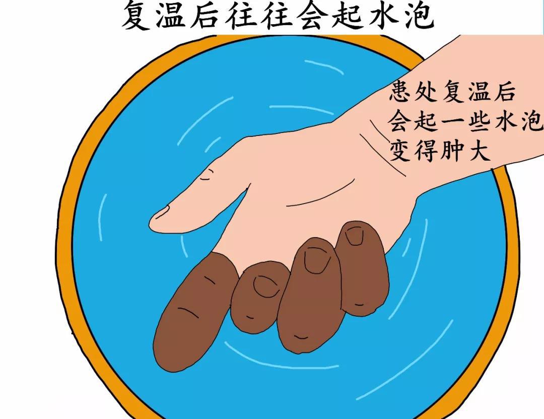 菜鸟日记在线观看,菜鸟日记最新版