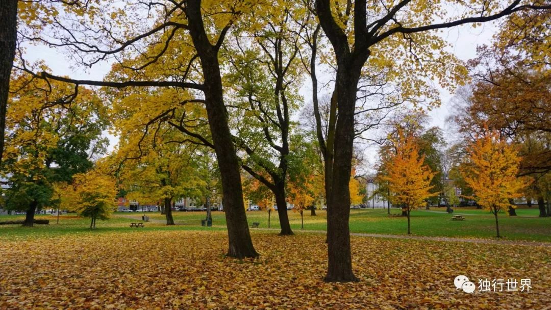 当你还在为生活抱怨,当你还在抱怨生活不易的时候