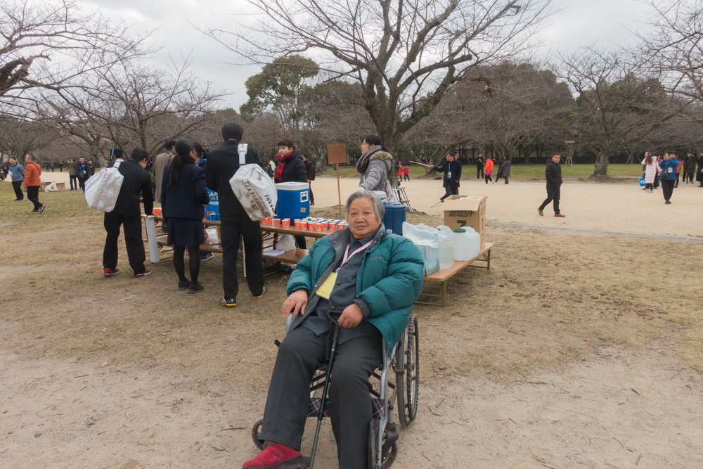 邮轮旅游的魅力,探秘邮轮旅游的奢华与实惠