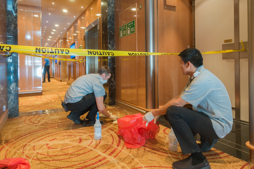 邮轮旅游的魅力,探秘邮轮旅游的奢华与实惠