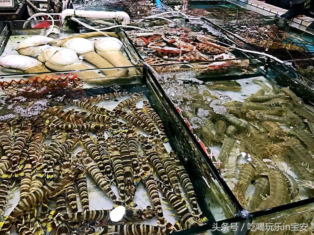 路林海鲜市场螃蟹,海头海鲜批发市场螃蟹