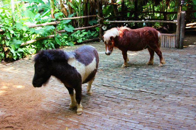 嗨游三亚,嗨皮的三亚最后一天
