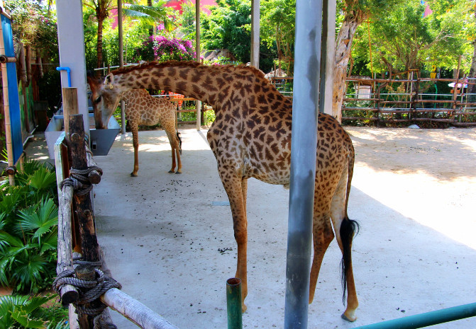 嗨游三亚,嗨皮的三亚最后一天