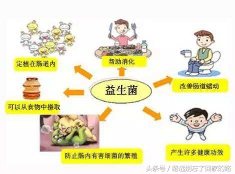 婴儿长湿疹可以吃合生元益生菌吗,益生菌可以调理湿疹吗