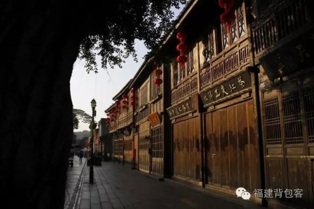 你们养的蛙现在回家了吗,养的蛙都去哪里了