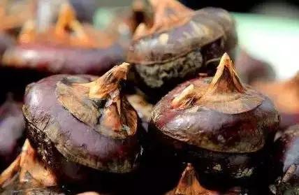 广西新鲜马蹄荸荠亦果亦蔬怎么吃,新鲜马蹄荸荠的吃法大全