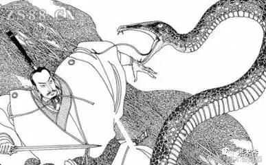 文喝武喝到底是什么酒,喝文酒和武酒区别