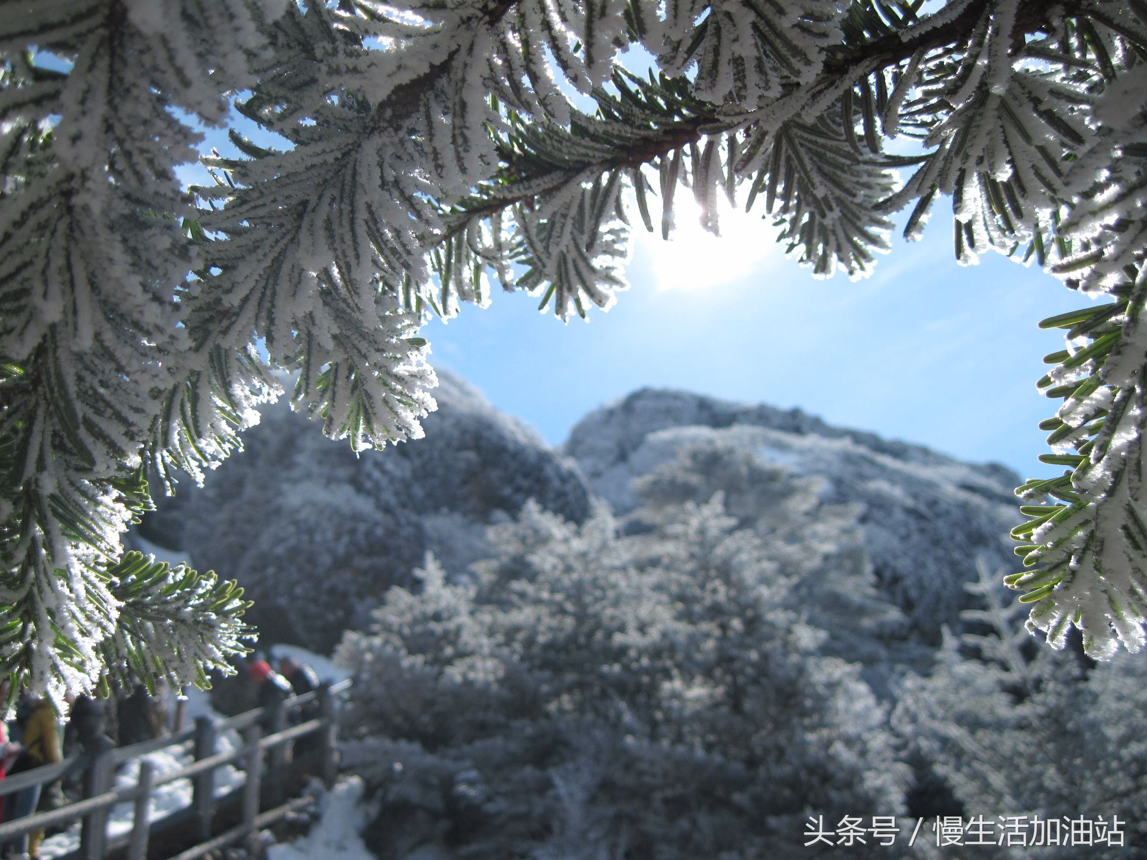 滇中轿子雪山风景区,滇中雪山