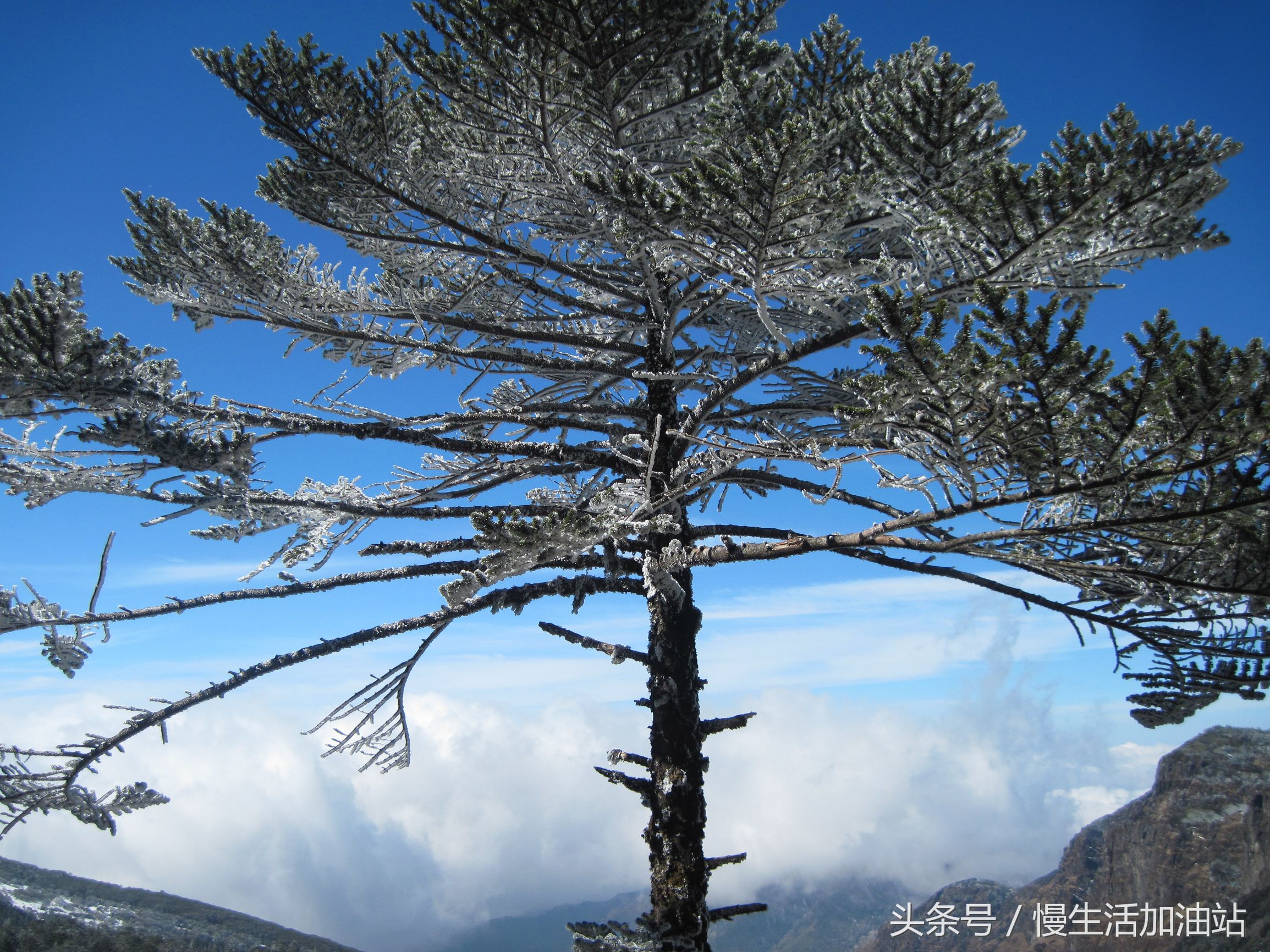 滇中轿子雪山风景区,滇中雪山