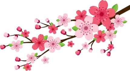 免费吃杀猪菜,吃免费的杀猪饭