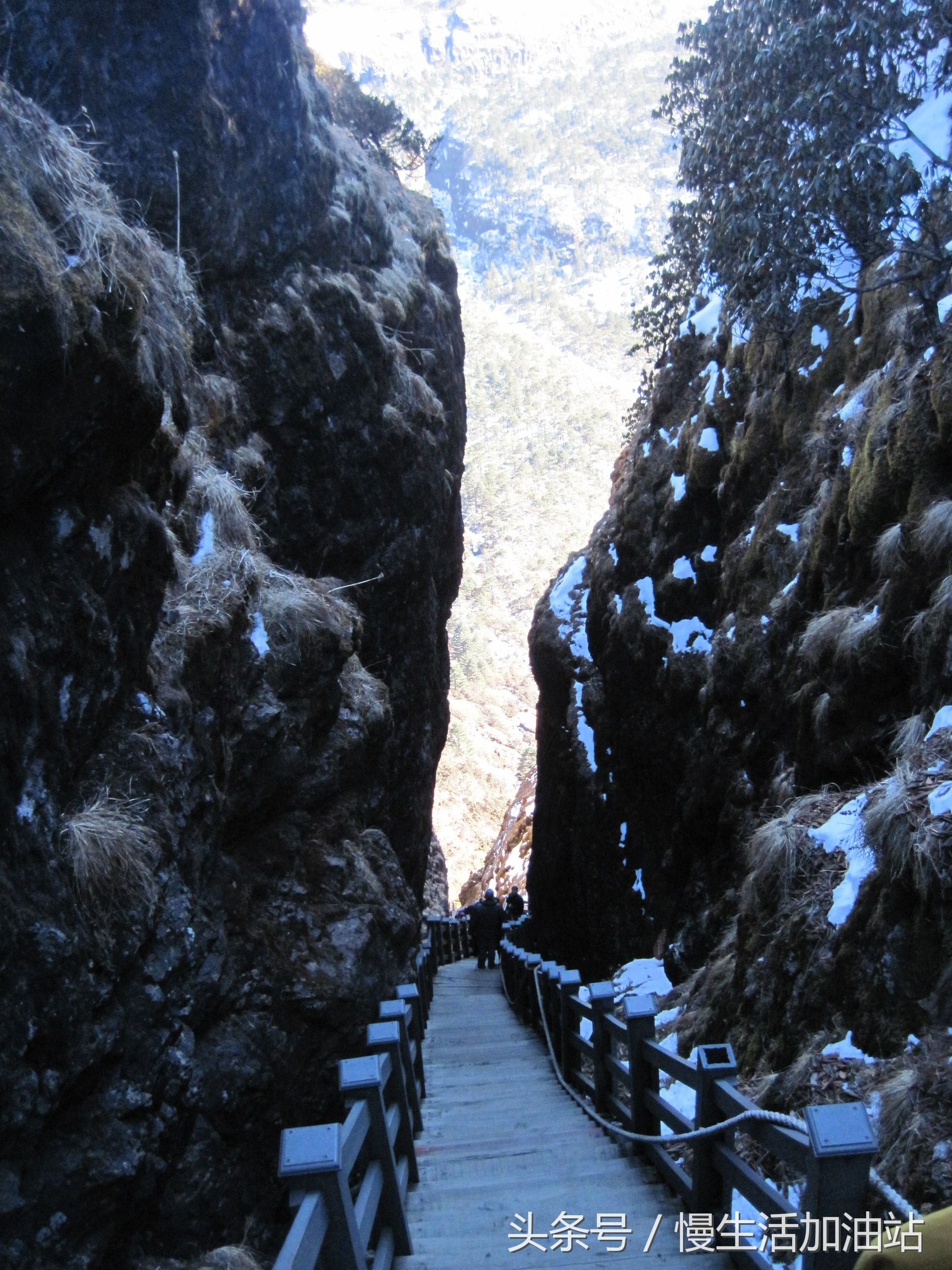 滇中轿子雪山风景区,滇中雪山