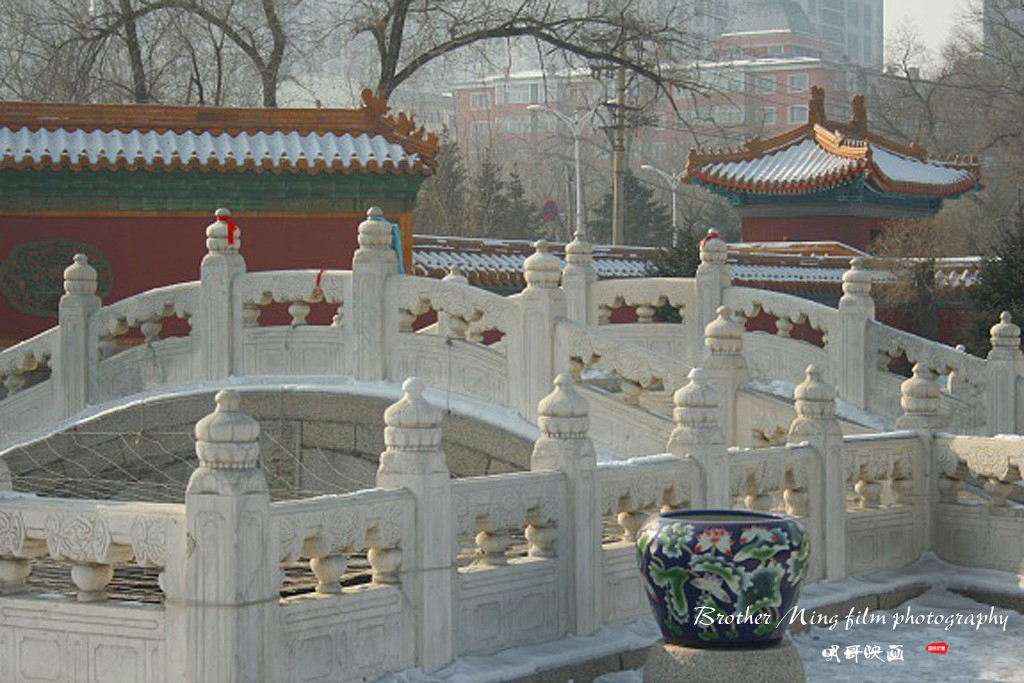 哈尔滨文庙要门票吗,哈尔滨文庙开放吗