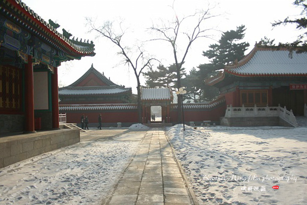 哈尔滨文庙要门票吗,哈尔滨文庙开放吗