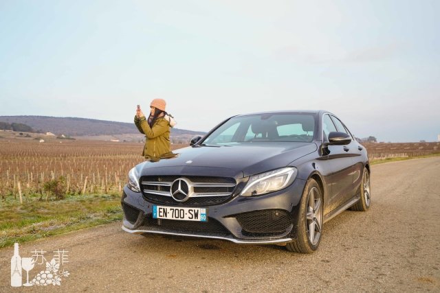 勃艮第和波尔多哪个好喝,勃艮第和波尔多酒杯