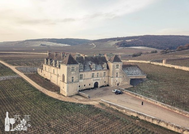 勃艮第和波尔多哪个好喝,勃艮第和波尔多酒杯