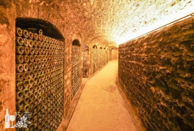 勃艮第和波尔多哪个好喝,勃艮第和波尔多酒杯