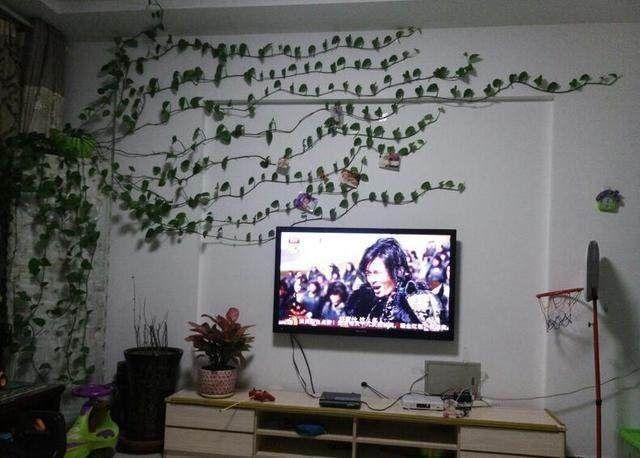 绿萝换盆用买的营养土叶片黄不长,绿萝土养用什么肥料才能更旺盛