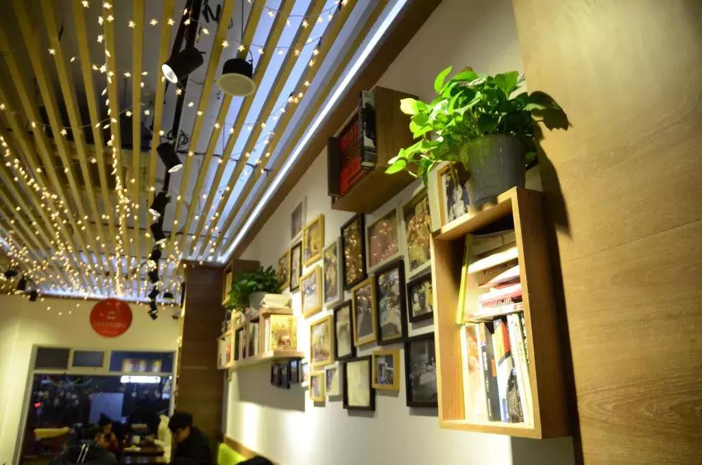 杭州可以撸猫的店,杭州撸猫地方推荐