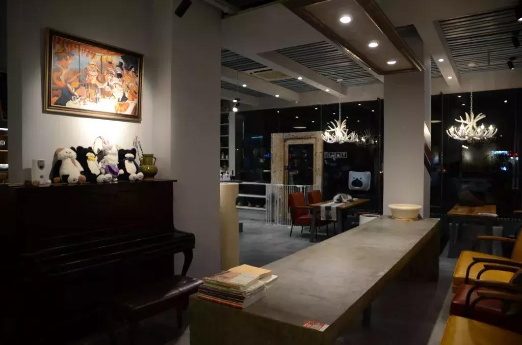 杭州可以撸猫的店,杭州撸猫地方推荐