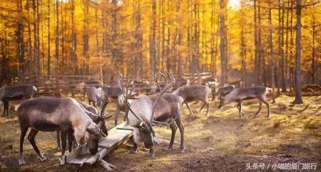 中国最美少数民族村寨,少数民族特色村寨民俗旅游