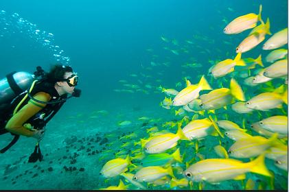 旅游者的天堂塞舌尔,人间伊甸园云赏奢华度假地塞舌尔