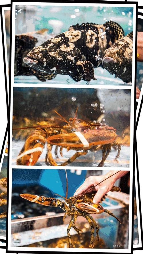 娉夊窞甯傚尯鍝簺姣旇緝濂界殑娴烽矞閰掓ゼ,娉夊窞娴烽矞缇庨鎺掕姒滃墠鍗佸悕