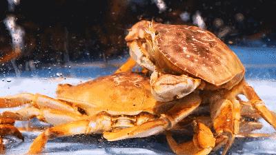 娉夊窞甯傚尯鍝簺姣旇緝濂界殑娴烽矞閰掓ゼ,娉夊窞娴烽矞缇庨鎺掕姒滃墠鍗佸悕