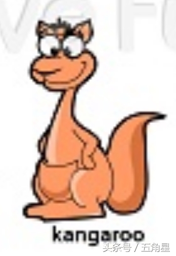 30个动物英语单词视频,动物的英语单词常见100个