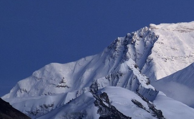 菜鸟日记在线观看,菜鸟日记最新版