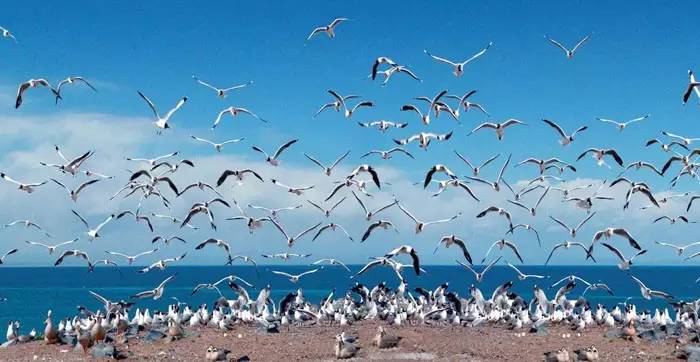 别去*藏西**了！从石家庄坐火车只有6站，天空之镜就在眼前！