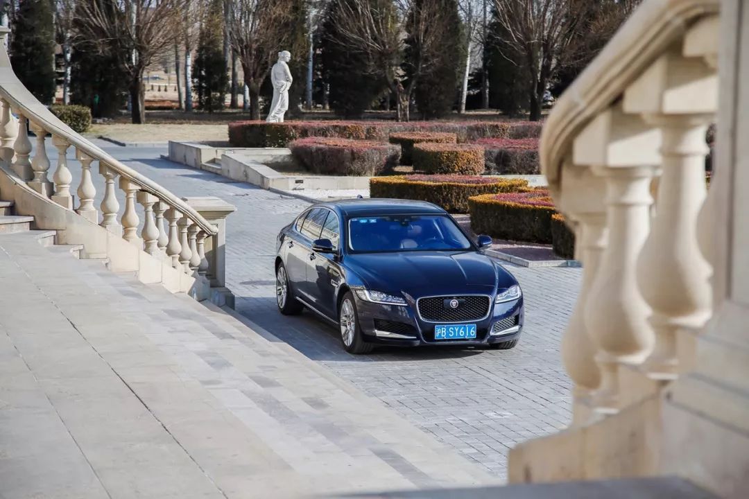 英俊的英伦绅士,英伦老牌绅士