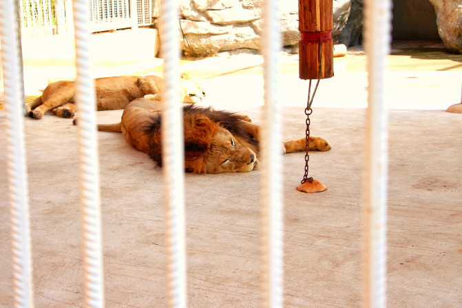 嗨游三亚,嗨皮的三亚最后一天