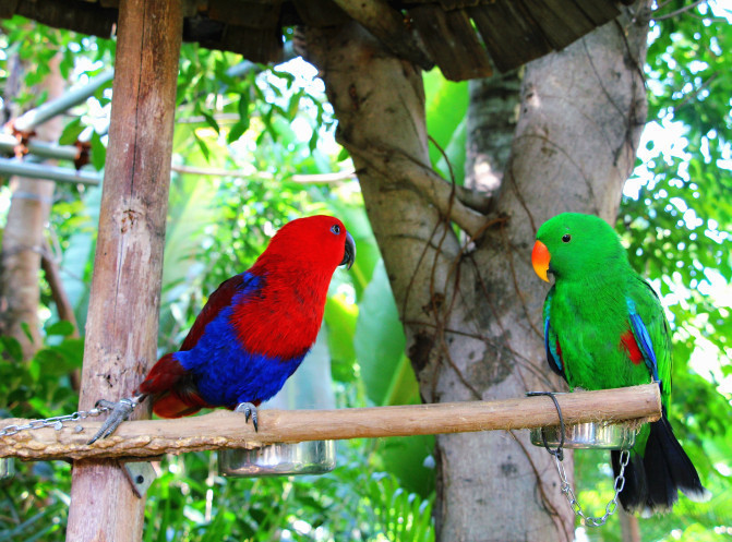 嗨游三亚,嗨皮的三亚最后一天