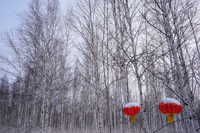 「新年目的地推荐一」金鸡之巅，边境梦雪，一路向北