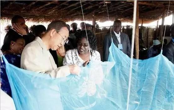 他在非洲用淘宝卖蚊帐,一年卖了两个亿