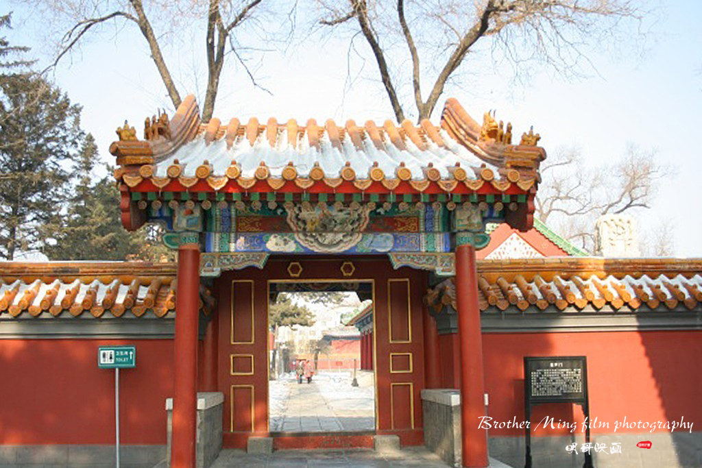 哈尔滨文庙要门票吗,哈尔滨文庙开放吗