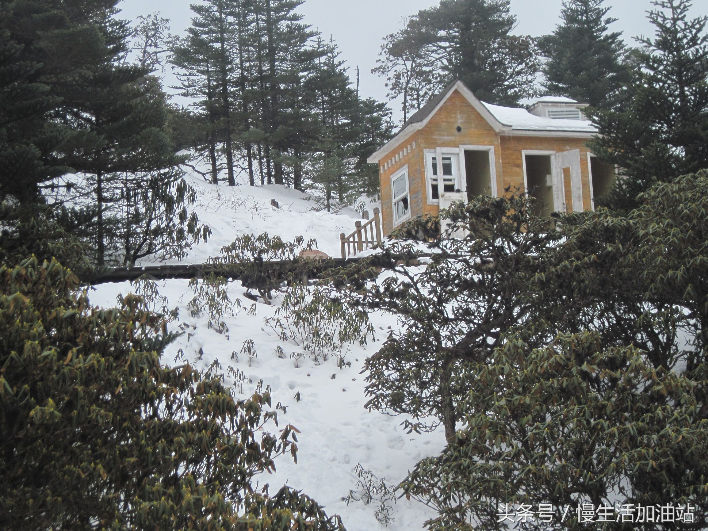 滇中轿子雪山风景区,滇中雪山