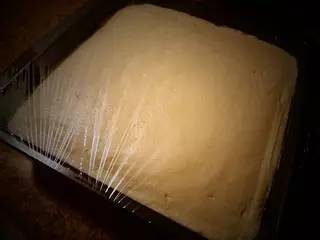 冻芝士蛋糕做法,冻芝士蛋糕各种做法