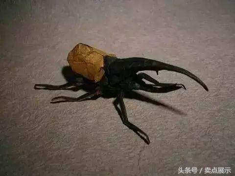 世界顶级折纸大神的折纸作品图片,中国折纸大神的折纸作品